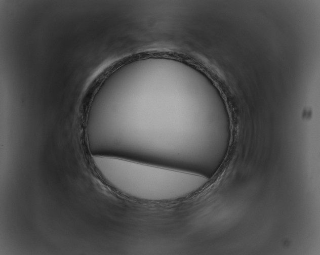 X0000101981400200807180749