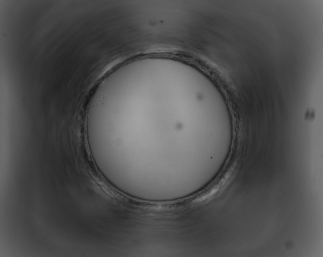 X0000101981401200807180749