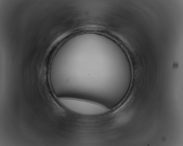 X0000101981402200807180749