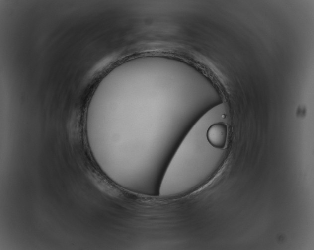 X0000101981403200807180749