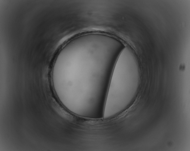 X0000101981404200807180749
