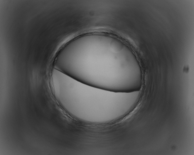 X0000101981405200807180749