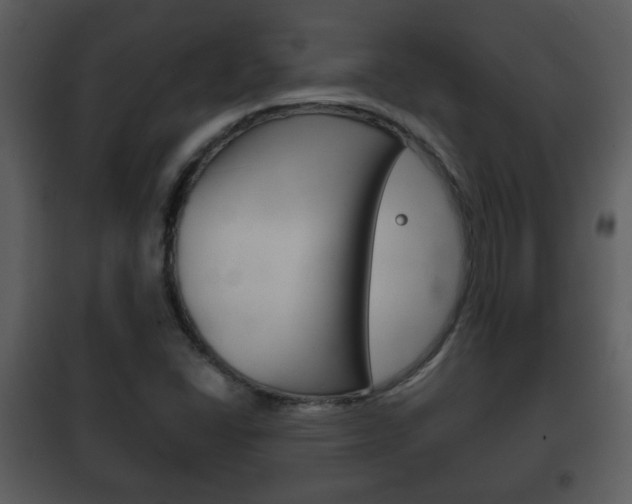 X0000101981406200807180749