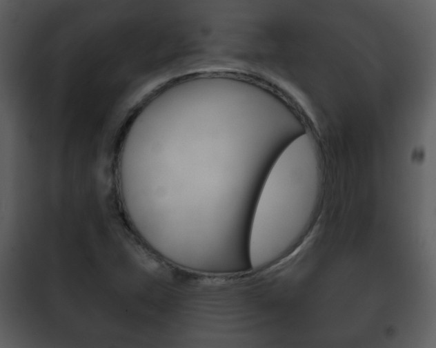 X0000101981407200807180749