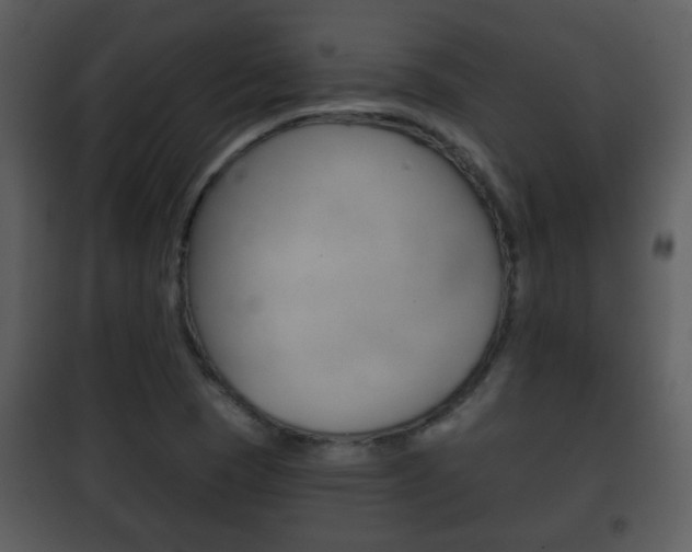 X0000101981409200807180749