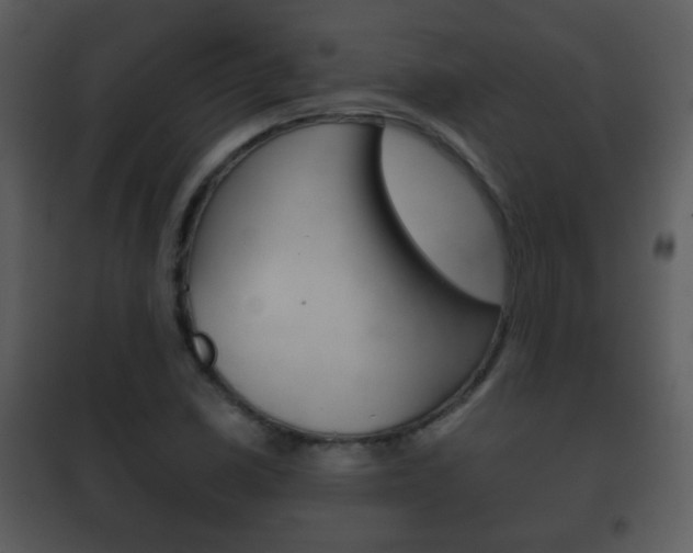 X0000101981410200807180749