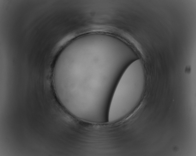 X0000101981411200807180749