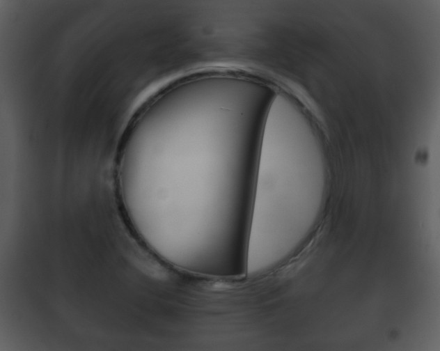 X0000101981412200807180749