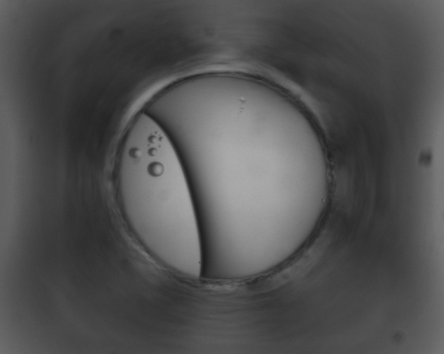 X0000101981415200807180749