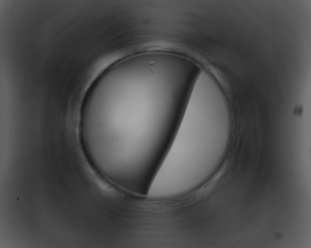 X0000101981418200807180749