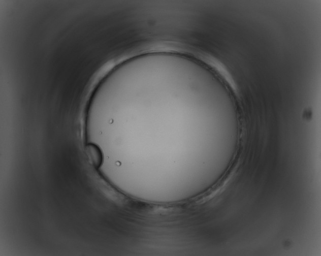 X0000101981419200807180749