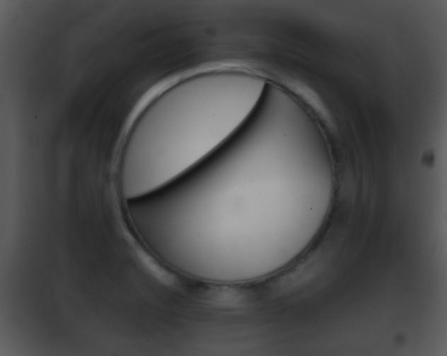 X0000101981420200807180749