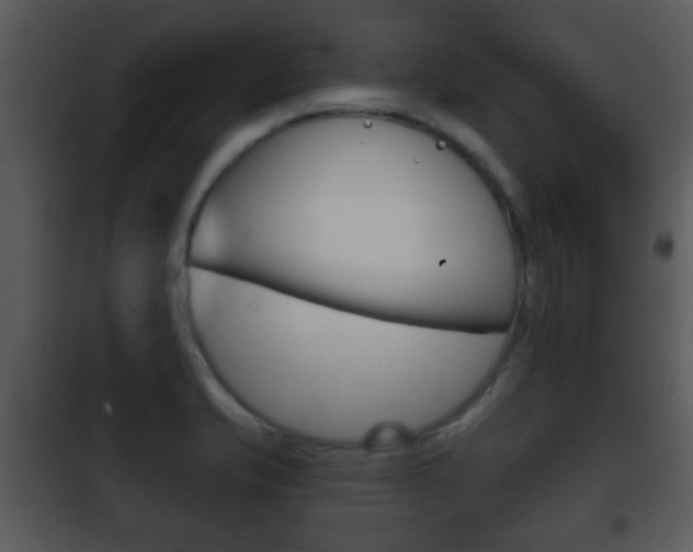 X0000101981421200807180749