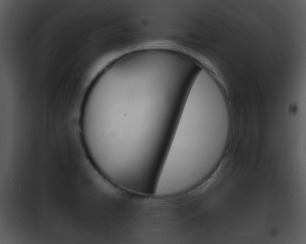X0000101981422200807180749