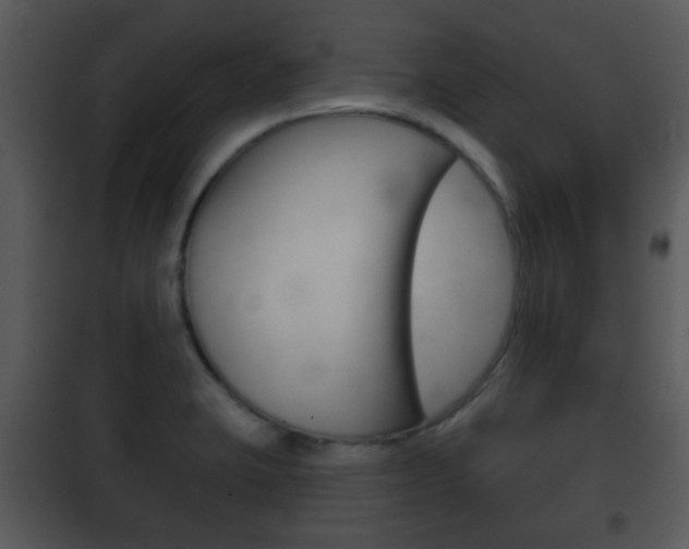 X0000101981423200807180749