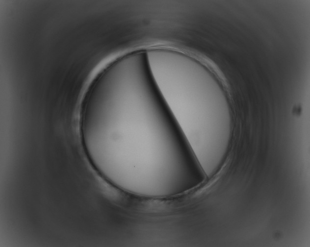 X0000101981424200807180749
