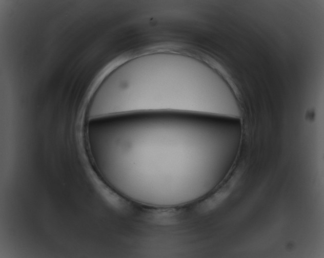 X0000101981426200807180749