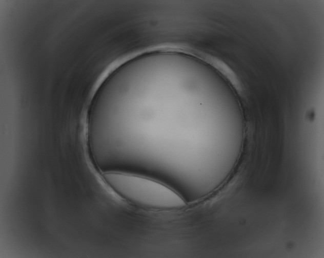 X0000101981428200807180749