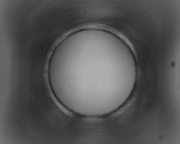 X0000101981429200807180749