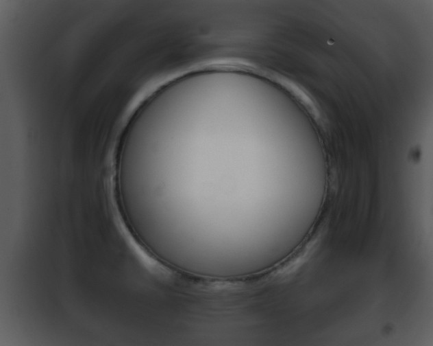 X0000101981430200807180749