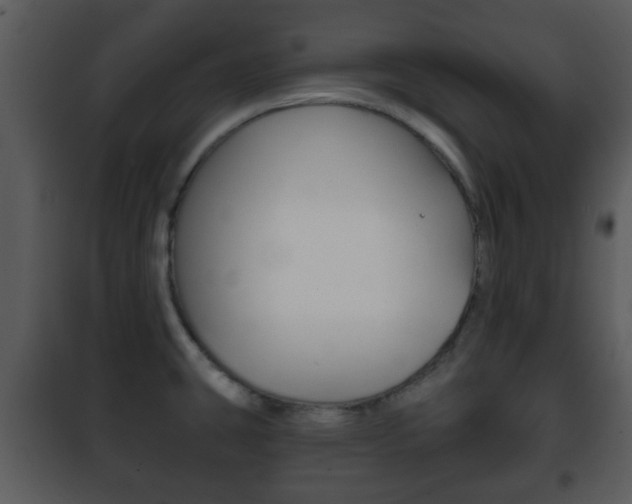 X0000101981431200807180749