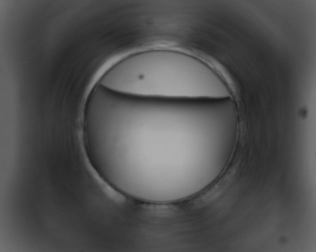 X0000101981432200807180749