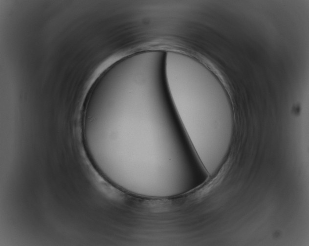X0000101981434200807180749