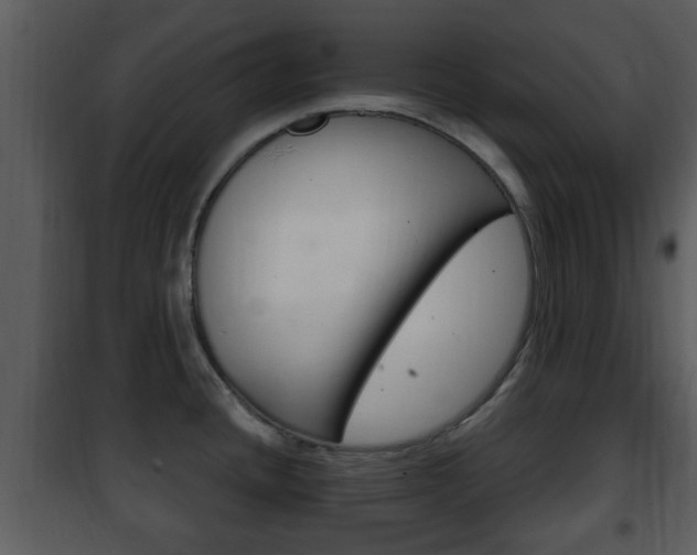 X0000101981436200807180749