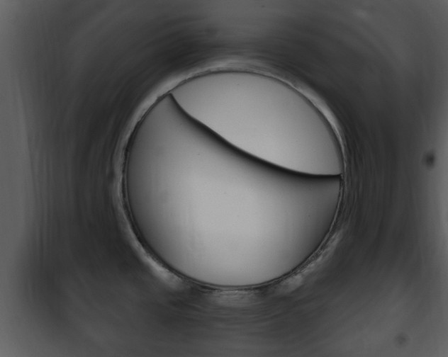 X0000101981437200807180749