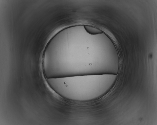 X0000101981439200807180749