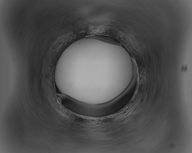 X0000101981441200807180749