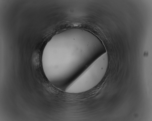 X0000101981442200807180749