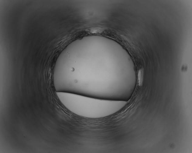 X0000101981443200807180749