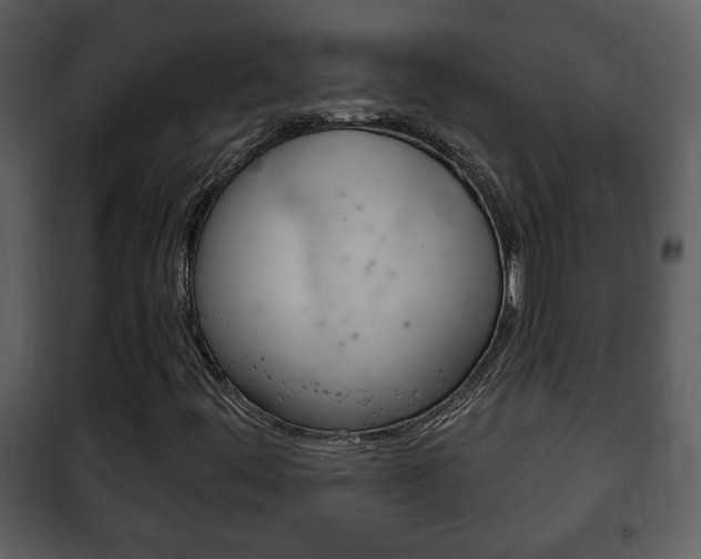 X0000101981444200807180749