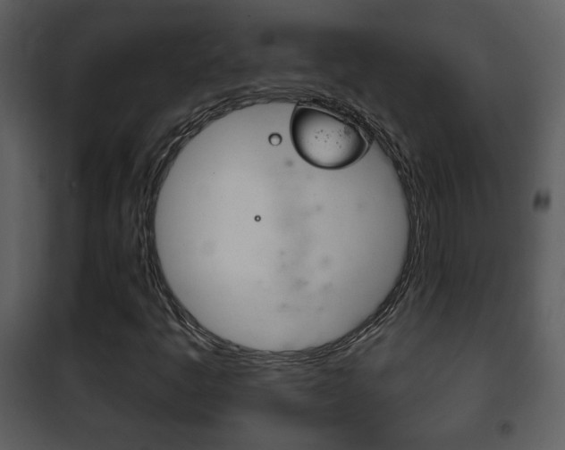 X0000101981445200807180749