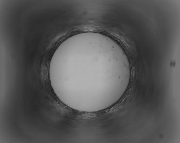 X0000101981446200807180749