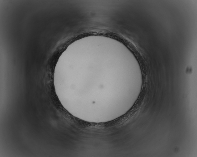 X0000101981447200807180749