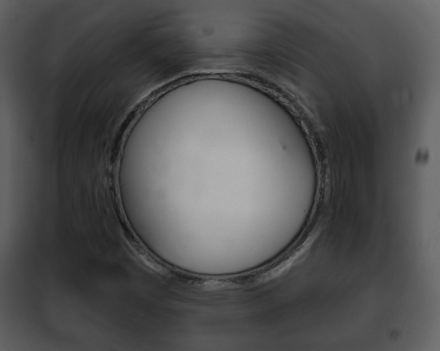 X0000101981449200807180749