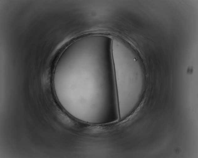 X0000101981450200807180749