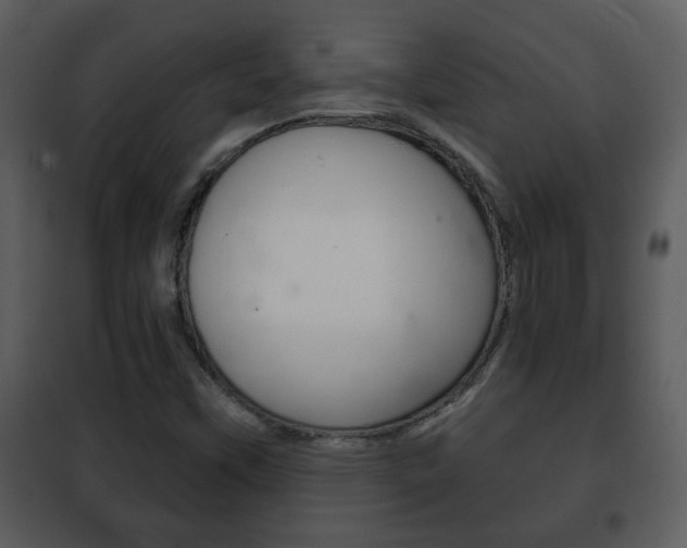X0000101981451200807180748