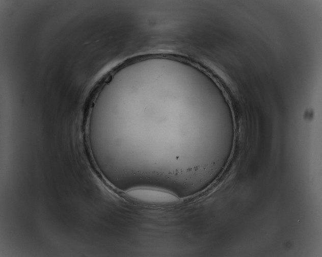 X0000101981452200807180748