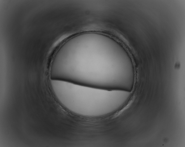 X0000101981453200807180748