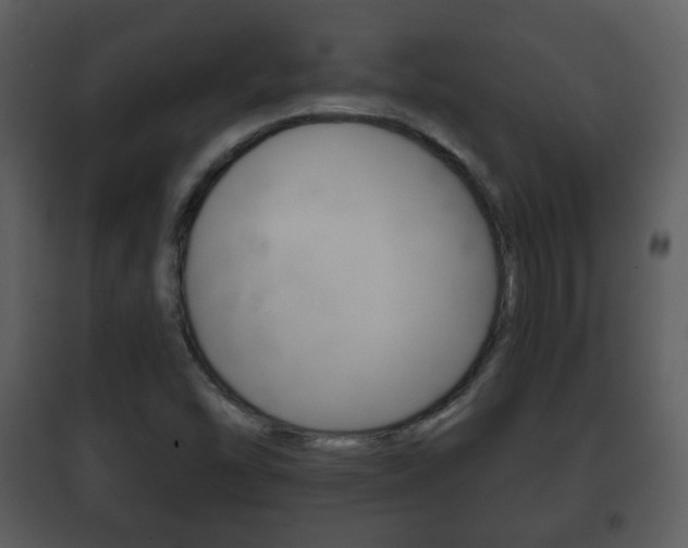 X0000101981454200807180748