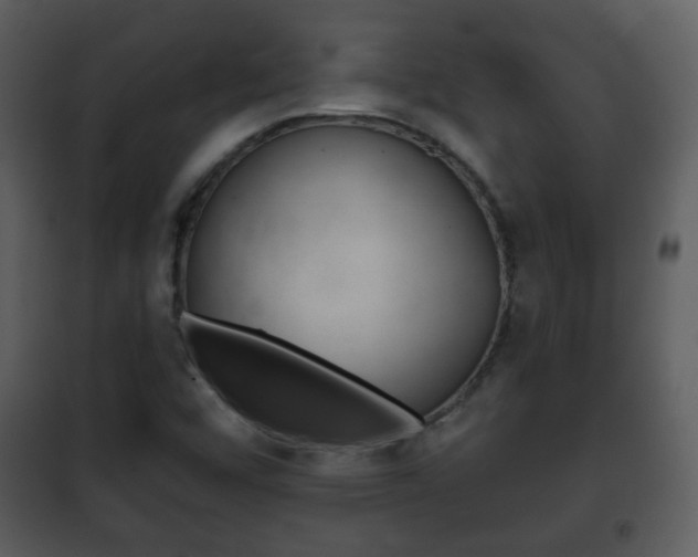 X0000101981456200807180748