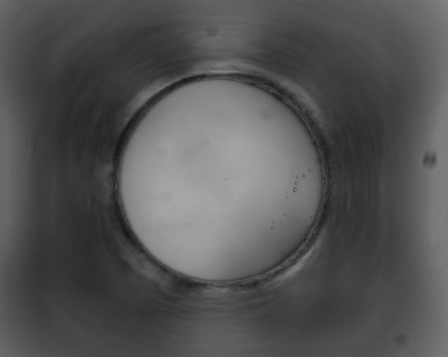 X0000101981457200807180748