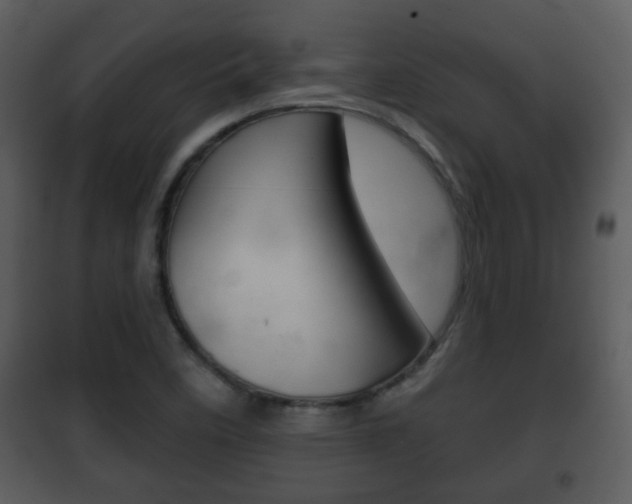 X0000101981458200807180748