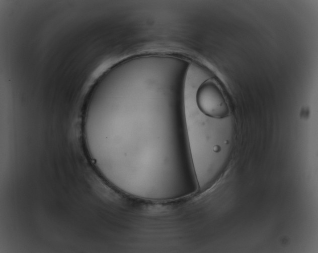 X0000101981459200807180748