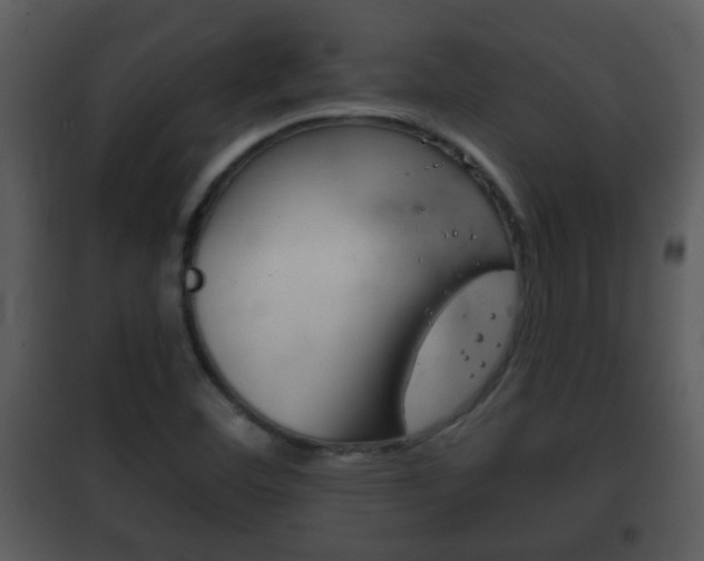 X0000101981460200807180748