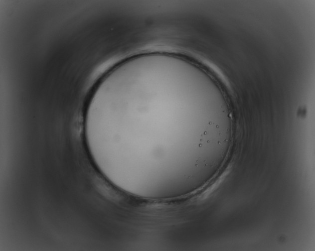 X0000101981461200807180748