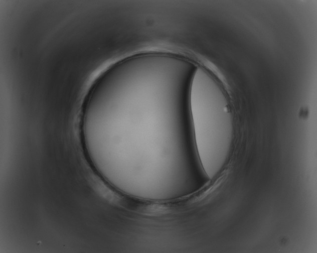 X0000101981463200807180748